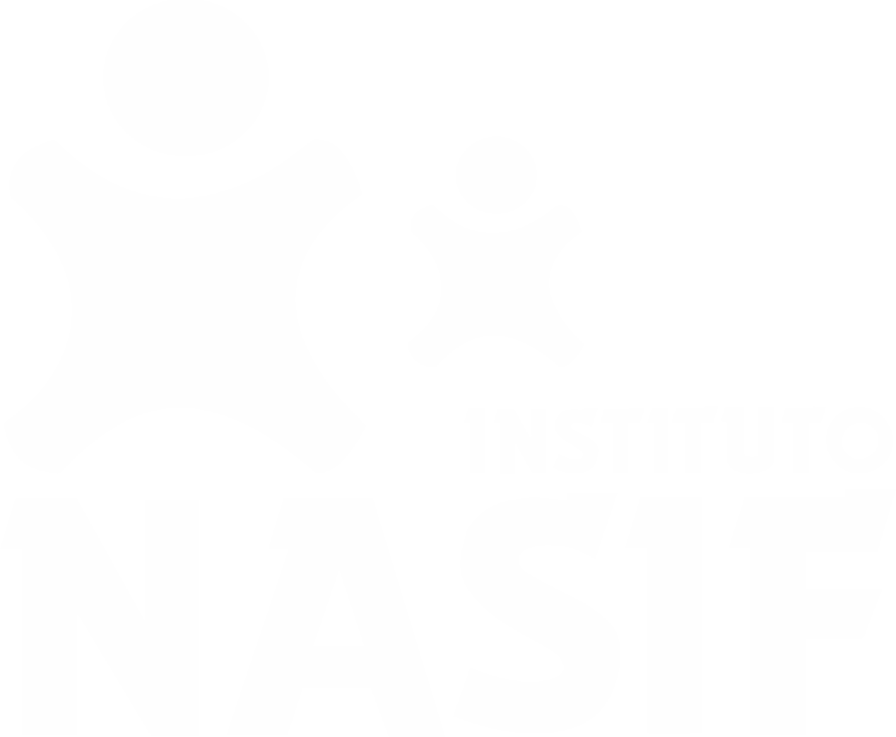Instituto Nasif